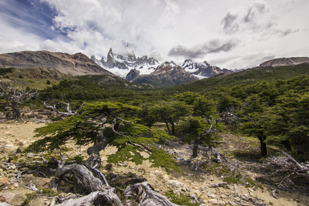 viewpont near fitz-roy mountain in patagoniaの写真素材