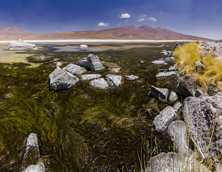 green grass near mountain lake surrounded by high peaksの写真素材