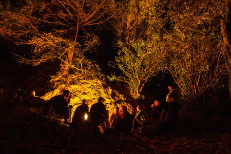 group of people in forest near bonfire at nightの写真素材