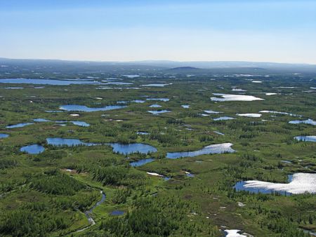 Aerial view on forest-tundra landscape from a helicopter の写真素材