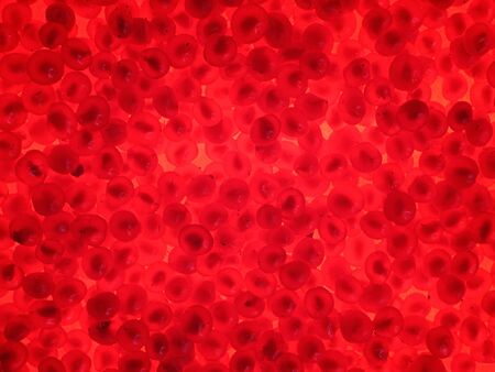 Background of berries of stone bramble in transparent light