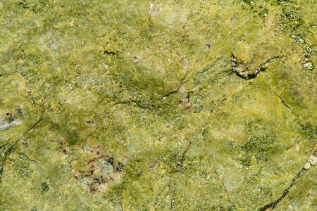 Natural stone backgroundの写真素材