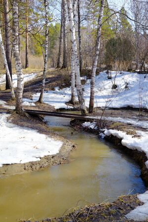 Small river in siberian forest at Spring timeの写真素材