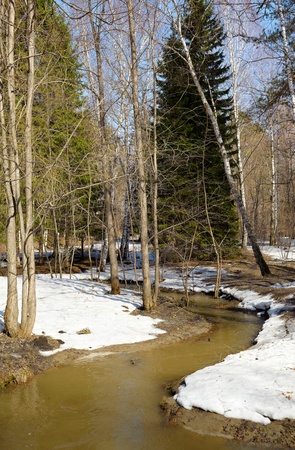 Small river in siberian forest at Spring timeの写真素材
