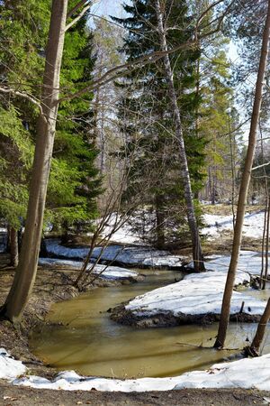 Small river in siberian forest at Spring timeの写真素材