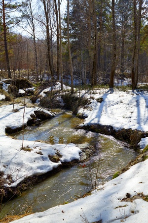 Small river in siberian forest at Spring timeの写真素材