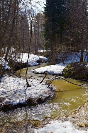 Small river in siberian forest at Spring timeの写真素材