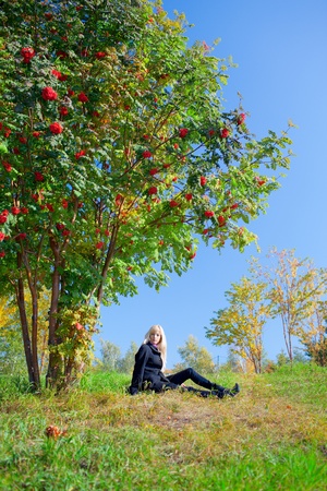 Beautiful young woman sits under the tree in autumn park under mountain ash treeの写真素材