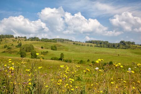 Landscape of Altai Region with focus on foreground