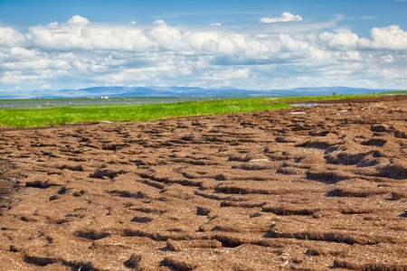 Peat banks of river Kolyma near Settlement Pokhodsk in Sakha Yakutiaの写真素材