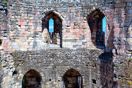 Cliffordのeditorial素材