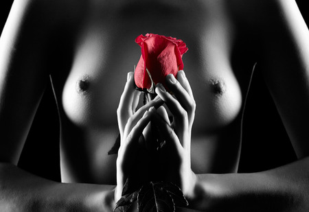 Silhouette of nude beautiful young woman with red rose in hands isolated on blackの写真素材