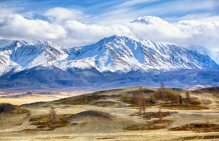 Altai mountains in Kurai area with North Chuisky Ridge on background.の写真素材