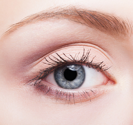 Closeup shot of female face makeup with blue eyeの写真素材
