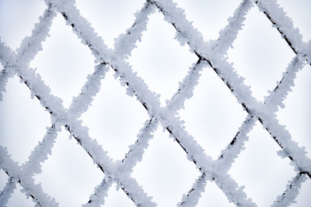 Metal net covered by crystals of ice hoarfrostの写真素材