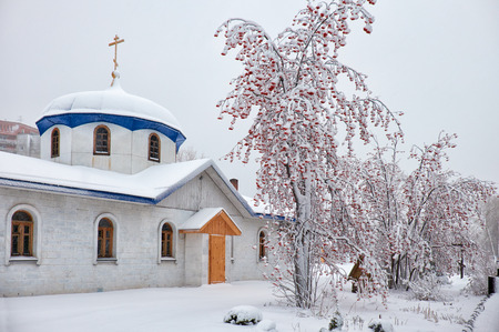 Parish of the Annunciation in Novosibirsk in winter season under rowanberry tree covered by snowの写真素材