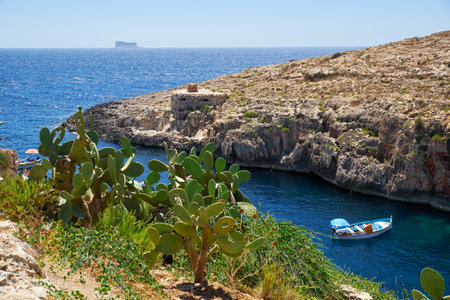 Wied Zurrieq Fjord, MALTA - JULY 24, 2015:  Cactus Opuntia over water of Wied Zurrieq Fjord on south end of Malta islandのeditorial素材