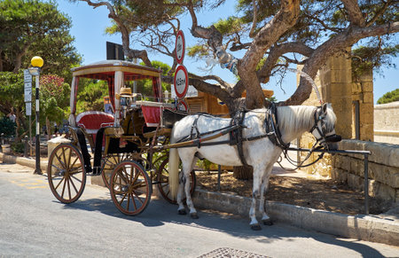 MDINA, MALTA - JULY 29, 2015:  Tourist horse carriage waiting for the tourists in front of the Main gate to Mdina, Malta.のeditorial素材