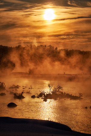 Snags in the river water in early winter morning.  Red - orange fog backlit by mystical sunlightの写真素材