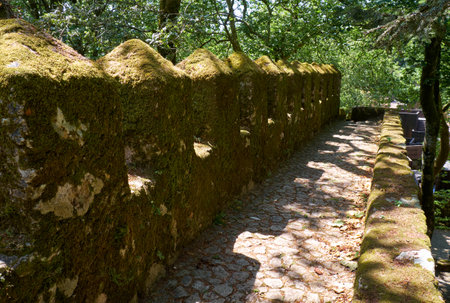 A mossy battlement with a parapet of outer defensive wall in the forest of Moorish Castle. Sintra. Portugalのeditorial素材