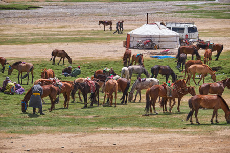 KHOVD, MONGOLIA - JULY 06, 2017: Mongolian nomad camp. Horses and car near traditional mongolian yurt.のeditorial素材