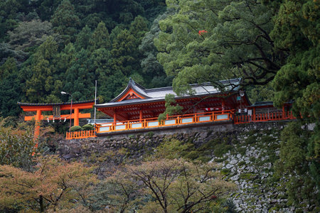 The view of Kumano Hayatama Taisha shrine surrounded by the dense forest on the shores of the Kumanogawa in the Kii Peninsula. Shingu. Wakayama prefecture. Japanのeditorial素材
