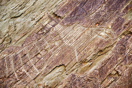 Ancient people Petroglyphs of elk on the rocks on the bank of river Tom in West Siberia.のeditorial素材