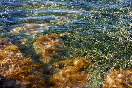 Seaweeds on the bottom. Clear water of Mediterranean sea on the Takkas bay on the Akamas Peninsula. ...