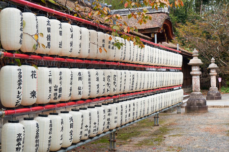 KYOTO, JAPAN - OCTOBER 17, 2019: The view of hundreds traditional white paper lightings (chochin) at Hirano Shrine. Kyoto. Japanのeditorial素材