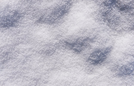Winter snow texture