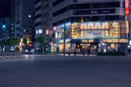 Tokyo, Japan - October 22, 2019: The night illumination of traditional japanese restaurants at...