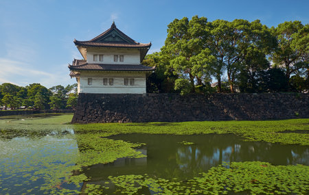 The Kikyo-bori moat overgrown with water plants around the Tokyo Imperial Palace outer wall with the Edojo Sakurada Tatsumi Yagura guard tower on the background. Tokyo. Japanのeditorial素材