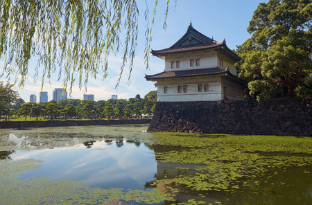 The Kikyo-bori moat overgrown with water plants around the Tokyo Imperial Palace outer wall with the Edojo Sakurada Tatsumi Yagura guard tower on the background. Tokyo. Japanのeditorial素材