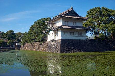 The Kikyo-bori moat overgrown with water plants around the Tokyo Imperial Palace outer wall with the Edojo Sakurada Tatsumi Yagura guard tower on the background. Tokyo. Japanのeditorial素材