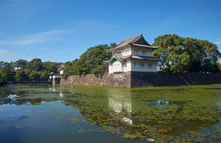 The Kikyo-bori moat overgrown with water plants around the Tokyo Imperial Palace outer wall with the Edojo Sakurada Tatsumi Yagura guard tower on the background. Tokyo. Japanのeditorial素材