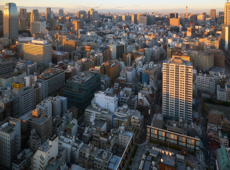 Tokyo, Japan - November 13, 2007: The evening view of skyscrapers of Higashi-Shinbashi district of Minato, as seen from the World Trade Center Building. Tokyo. Japanのeditorial素材