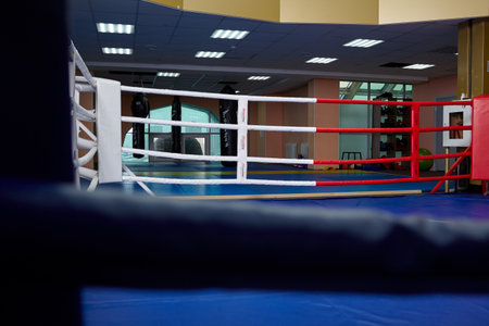 Novosibirsk, Russia - March 05 2022: Boxing ring of fighting club Excalibur.のeditorial素材