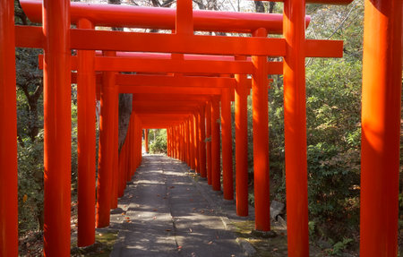 Nagoya, Japan - November 20, 2007: The view of the bright vermilion torii gates at Nagoya Branch of Chiyo Inari Shrine. Nagoya. Japanのeditorial素材