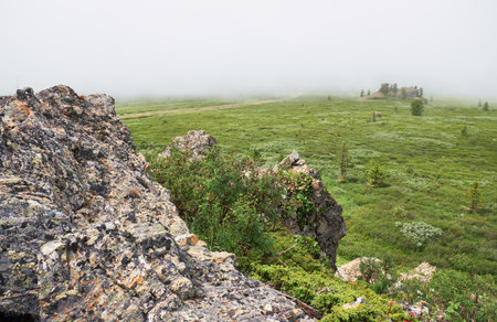 Morning fog in the mountains. Altai, Siberia.の写真素材