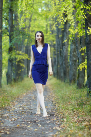 Female in blue dress walking along autumn linden tree alley. Path under yellow trees with falling autumn leaves. Sunny autumn day. The rays of the sun shine through the trunks and crowns of trees.の写真素材