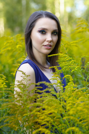 Romantic portrait of female in blue dress in nature. Brunette woman in the field of yellow flowers Solidago canadensis (Canada goldenrod or Canadian goldenrod) flowers.の写真素材