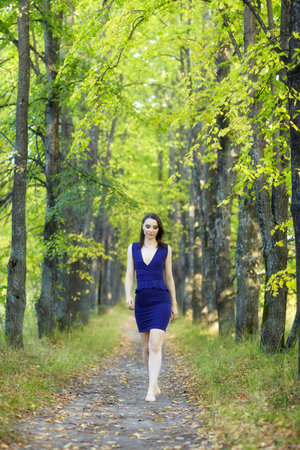 Female in blue dress walking along autumn linden tree alley. Path under yellow trees with falling autumn leaves. Sunny autumn day. The rays of the sun shine through the trunks and crowns of trees.の写真素材