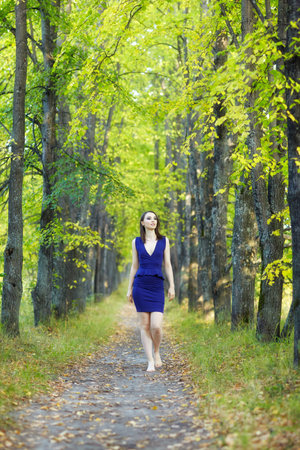 Female in blue dress walking along autumn linden tree alley. Path under yellow trees with falling autumn leaves. Sunny autumn day. The rays of the sun shine through the trunks and crowns of trees.の写真素材