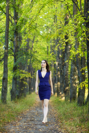 Female in blue dress walking along autumn linden tree alley. Path under yellow trees with falling autumn leaves. Sunny autumn day. The rays of the sun shine through the trunks and crowns of trees.の写真素材