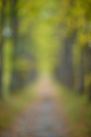 Autumn blurred background. Linden tree alley. Path under yellow trees with falling autumn leaves. Sunny autumn day. Tの写真素材