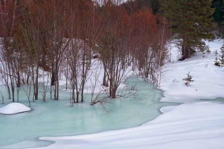 Small creek in Altai village Ust'-Lebed' in winter season. Siberia, Russiaの写真素材