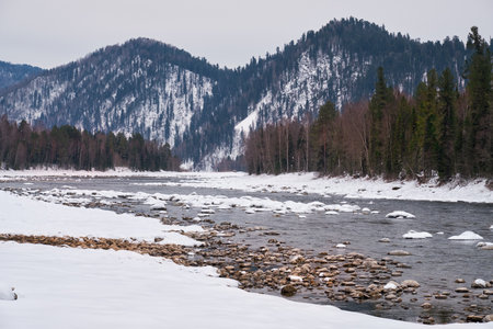 Altai river Biya in winter season. Banks of river are covered by ice and snow. Altai, Siberia, Russiaの写真素材
