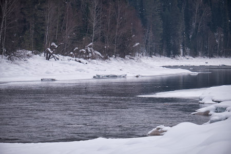 View of the river Biya in winter. Snow and birch forest on the river bank. Altai republic.の写真素材