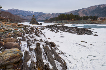 Lonely Pine tree on rock on Altai river Katun in winter. Rocks called Dragon's teeth, Dragon crest, or Sartakpai Arrows. Bridge over river is on background. Elekmonar village, Siberia, Russiaの写真素材
