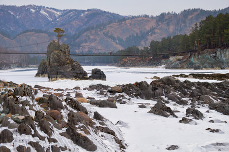 Lonely Pine tree on rock on Altai river Katun in winter. Rocks called Dragon's teeth, Dragon crest, or Sartakpai Arrows. Bridge over river is on background. Elekmonar village, Siberia, Russiaの写真素材
